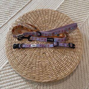 Sassy Woof Alice in Wonderland Collar and Leash - Sz Sm - Like New